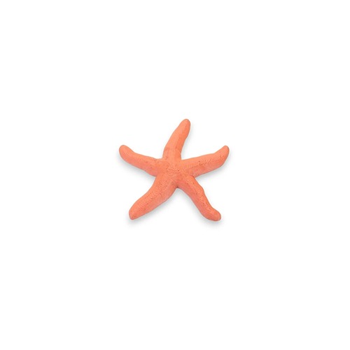 kids-kabinet-vulvorm-pla-loose-part-zeester Kids Kabinet PLA Loose part Zeester oranje- rood