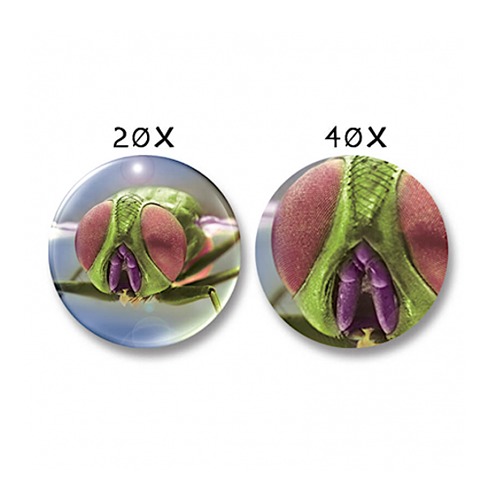 Navir Zoomscope – Microscoop & Vergrootglas in één