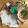 wildebras-lifecycle-flashcards-kikker-educatief-speelgoed-natuuronderwijs Duurzame lifecycle flashcards kikker – gedrukt op PaperWise papier met anatomie en levenscyclus
