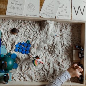 wildebras-winter-flashcards-montessori-educatief-duurzaam-natuur-speelgoed-het-speellab-3 (1) winter flashkaarten Montessori natuur en educatief speelgoed van Wildebras – Het Speellab