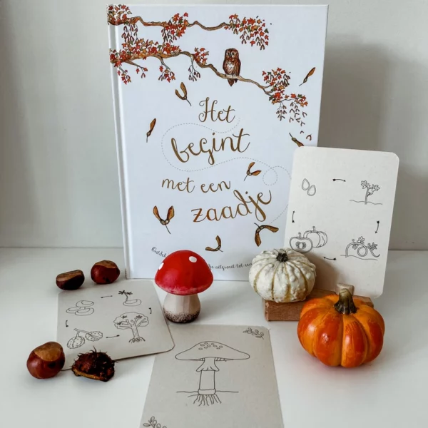 Lifecycle flashcards herfst met pompoen, kastanje, eikel en paddenstoel van Wildebras