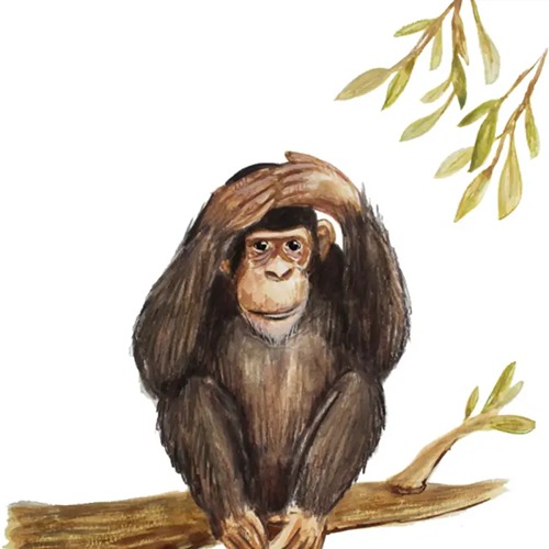 welterusten-slaap-lekker-slaapkaartjes-slaapritueel-briljant-uitgeverij-hetspeellab. Welterusten, slaap lekker! – Slaapkaartjes van Uitgeverij Briljant slaapritueel en rustmomenten bij Het Speellab