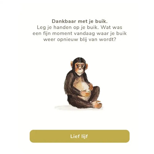 welterusten-slaap-lekker-slaapritueel-briljant-uitgeverij-hetspeellab Welterusten, slaap lekker! – Slaapkaartjes van Uitgeverij Briljant slaapritueel en rustmomenten bij Het Speellab