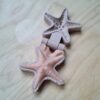 Zeester mal voor speeltafel met zand en klei voor kinderen