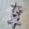 PLA vorm zeester met klei en zand mal van Kiddi
