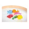 De set zeedieren van eduplay op de lichtafel
