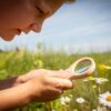Huckleberry dual magnifier voor natuuronderzoek kinderen